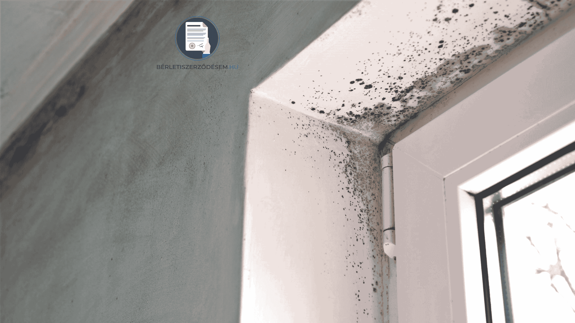 kiadó lakás ellenőrzése
